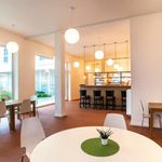 Rent 2 bedroom apartment of 99 m² in Geel