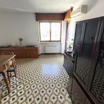 Rent 3 bedroom apartment of 100 m² in Cologno Monzese