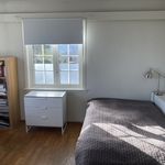 Rent a room of 105 m² in Trondheim