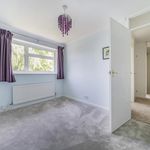Rent 4 bedroom house of 95 m² in Windsor