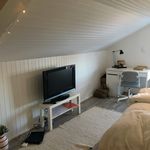 Rent a room of 30 m² in Trondheim