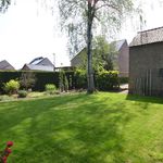Rent 1 bedroom house of 178 m² in Hoeselt