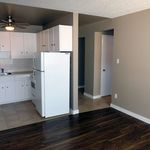 1 bedroom apartment of 333 sq. ft in Edmonton