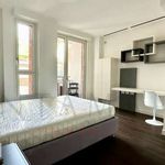 Rent 3 bedroom apartment of 125 m² in Milan