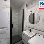 Rent 1 bedroom apartment of 20 m² in Liberec