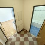 Rent 3 bedroom apartment of 67 m² in Plzeň