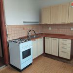 Rent 1 bedroom apartment in Příbram