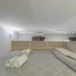 Affitto 1 camera appartamento di 39 m² in Roma