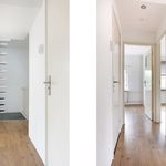 Rent 1 bedroom house of 12 m² in Haarlem