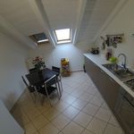 Affitto 1 camera appartamento in Novi Ligure