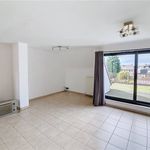 Rent 1 bedroom apartment in Willebroek
