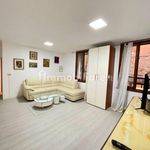 Rent 5 bedroom apartment of 150 m² in Venice