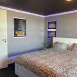 Huur 2 slaapkamer appartement van 302 m² in Eindhoven