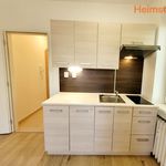 Rent 1 bedroom apartment of 28 m² in Havířov