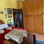 Rent 2 bedroom apartment of 80 m² in Massa