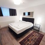 Rent 3 bedroom apartment of 80 m² in Heidelberg