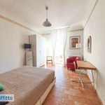 Rent 2 bedroom apartment of 41 m² in Firenze