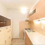 Rent 2 bedroom apartment of 40 m² in Praha