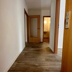 Rent 3 bedroom apartment of 72 m² in Chemnitz