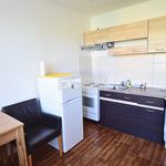 Rent 1 bedroom apartment of 21 m² in Plzeň