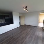 Rent 2 bedroom apartment of 60 m² in Nuremberg