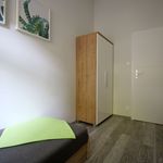 Rent 8 bedroom apartment in Łódź