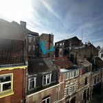 Rent 2 bedroom apartment of 50 m² in Lille