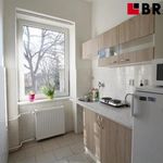 Rent 20 bedroom apartment of 20 m² in Brno