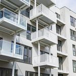Rent 1 bedroom apartment of 34 m² in Schiedam