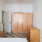 Affitto 1 camera appartamento di 58 m² in Rome