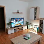 Rent 2 bedroom apartment of 43 m² in Uherské Hradiště