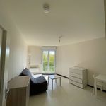 Rent 1 bedroom apartment of 31 m² in Avize