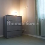 Rent 2 bedroom apartment of 55 m² in Colorno