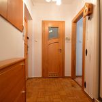 Rent 2 bedroom apartment of 50 m² in Opole