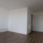 Rent 1 bedroom apartment of 38 m² in Lille