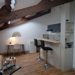 Rent 1 bedroom apartment of 29 m² in Limoges