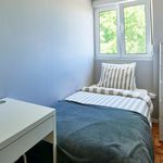 Rent 6 bedroom apartment in Lisboa