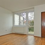 Rent 4 bedroom apartment in Kutná Hora