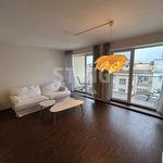 Rent 2 bedroom apartment in Pardubice