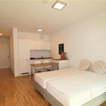 Rent 2 bedroom apartment of 30 m² in Dresden