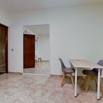 Rent 3 bedroom apartment of 100 m² in rome