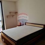 Rent 2 bedroom apartment of 45 m² in Jesi