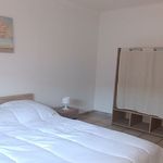  appartement avec 1 chambre(s) en location à Narbonne