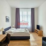 Rent 2 bedroom apartment of 68 m² in Mladá Boleslav