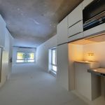 Rent 2 bedroom apartment of 75 m² in Landgraaf