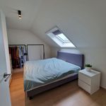Huur 1 slaapkamer appartement in Buggenhout