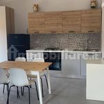 Rent 2 bedroom apartment of 55 m² in Aci Castello