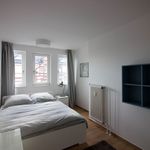 Rent 2 bedroom apartment of 48 m² in Berlin