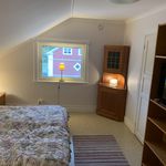 Rent 1 bedroom house of 30 m² in VALBO