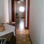 Rent 5 bedroom apartment of 70 m² in Cascia